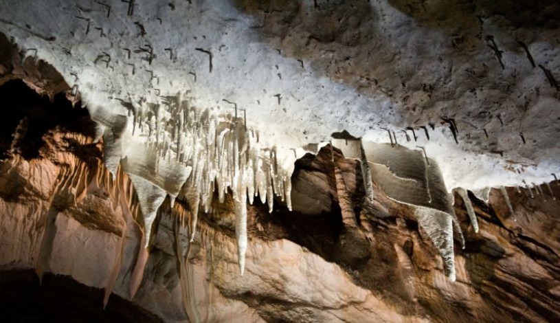 Hotel CROCUS **** Vysoké Tatry
